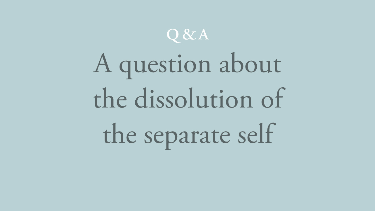 171-a-question-about-the-dissolution-of-the-separate-self.jpg