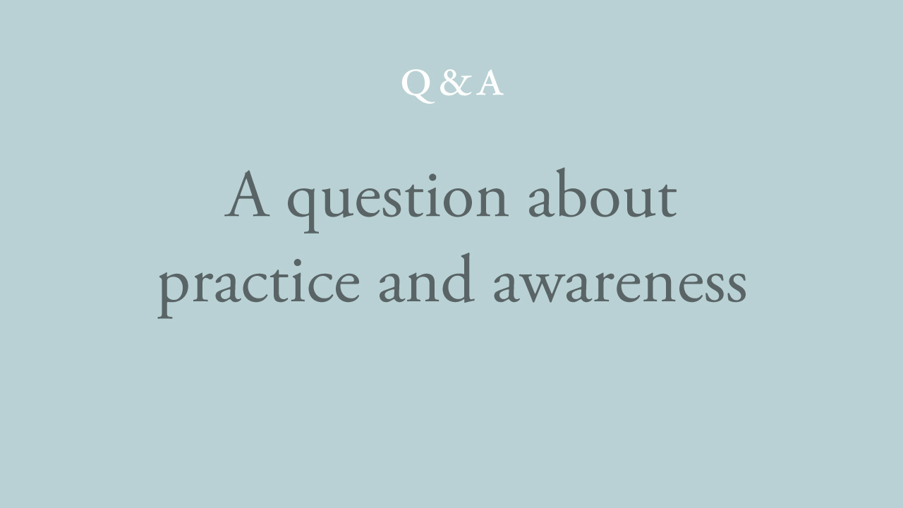 58-a-question-about-practice-and-awareness.jpg
