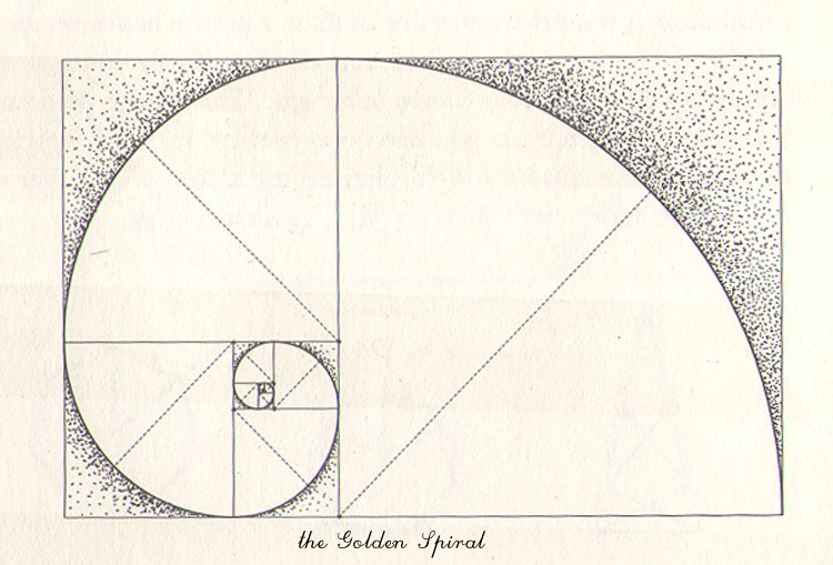 002+Golden+Spiral.jpeg