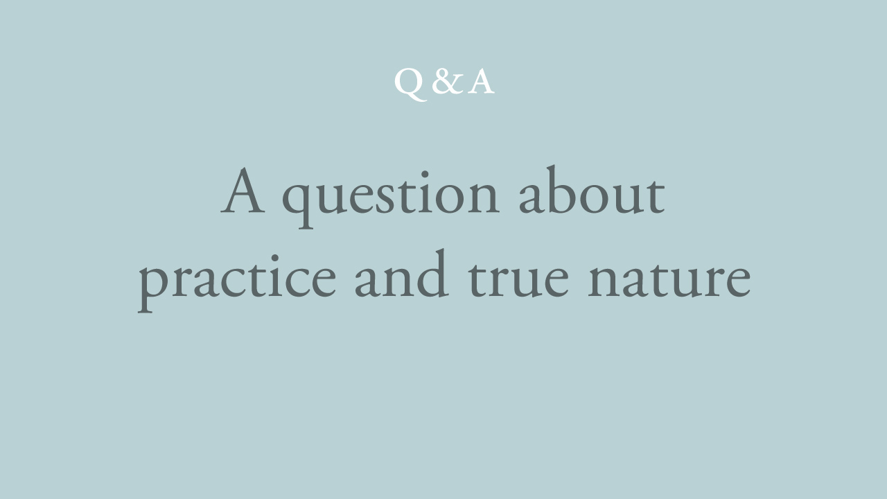 109-a-question-about-practice-and-true-nature.jpg