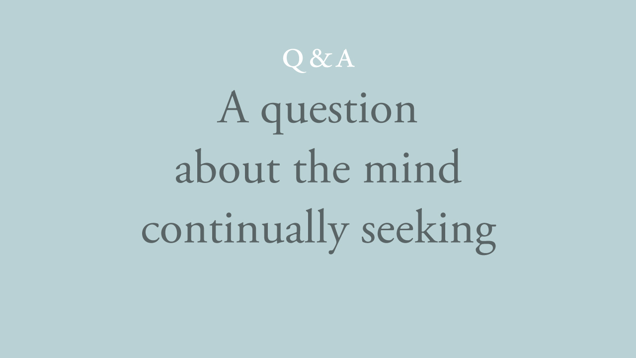195-a-question-about-the-mind-continually-seeking.jpg