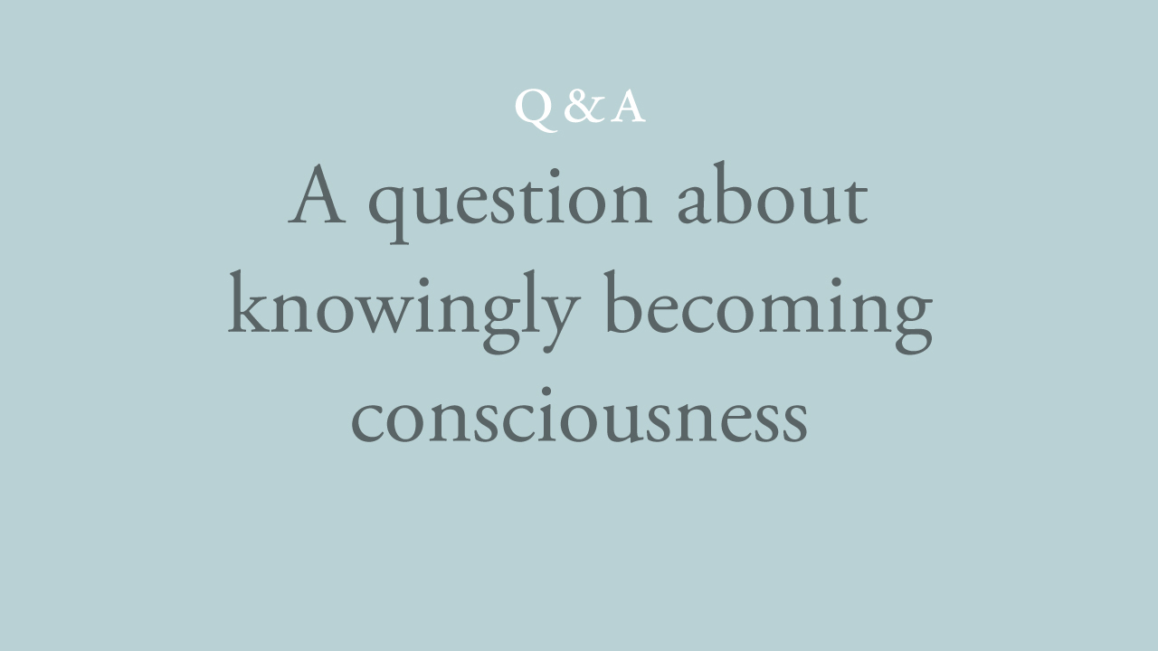 211-a-question-about-knowingly-becoming-consciousness.jpg