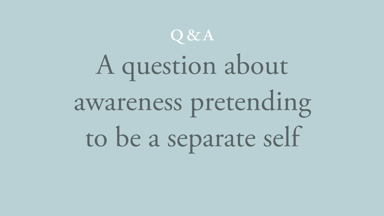 217-a-question-about-awareness-pretending-to-be-a-separate-self.jpg