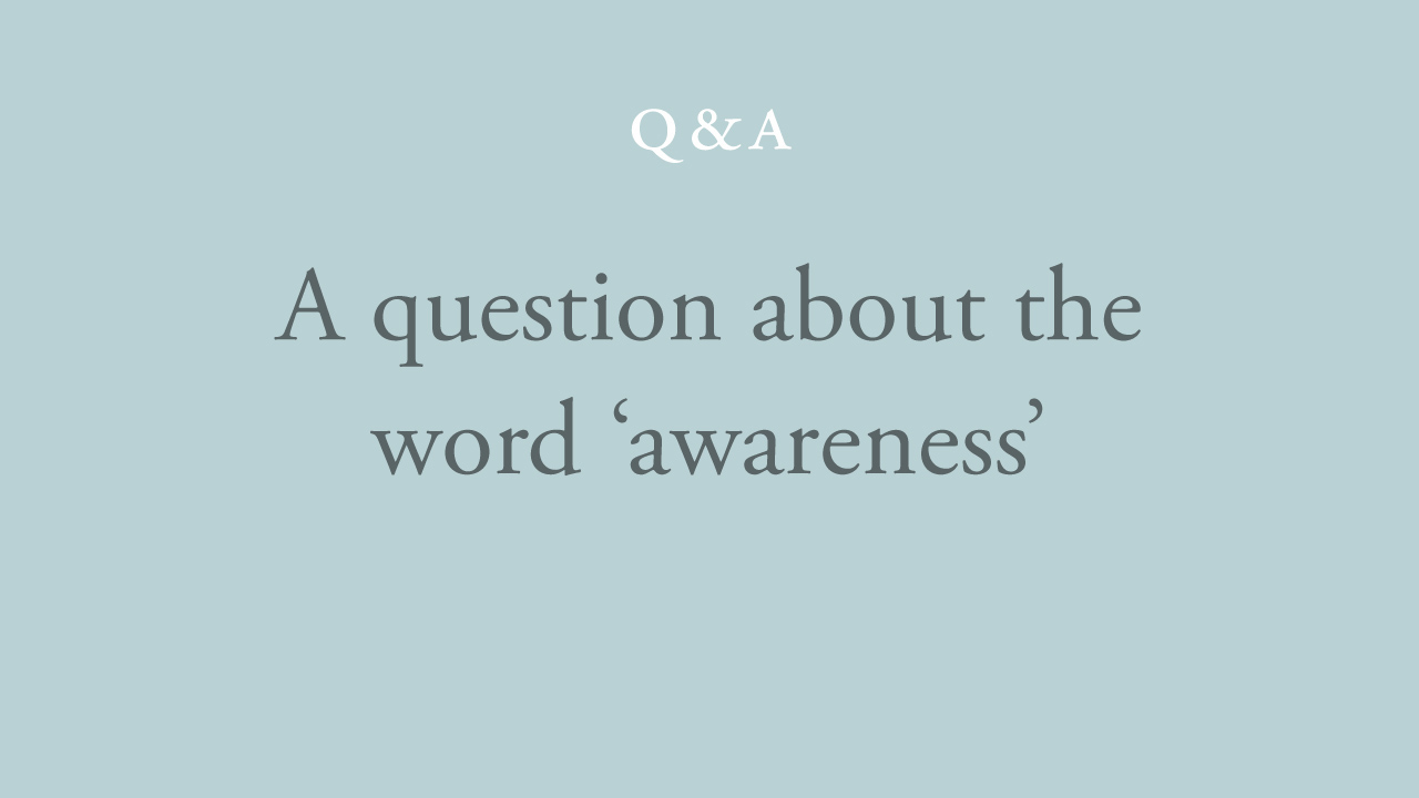 121-a-question-about-the-word-'awareness'.jpg