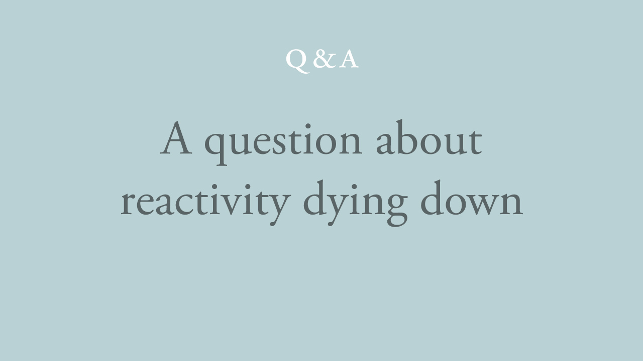 153-a-question-about-reactivity-dying-down.jpg