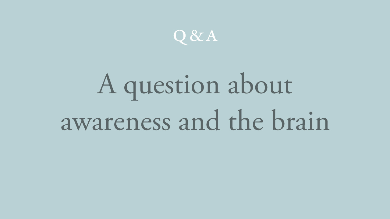 140-a-question-about-awareness-and-the-brain.jpg