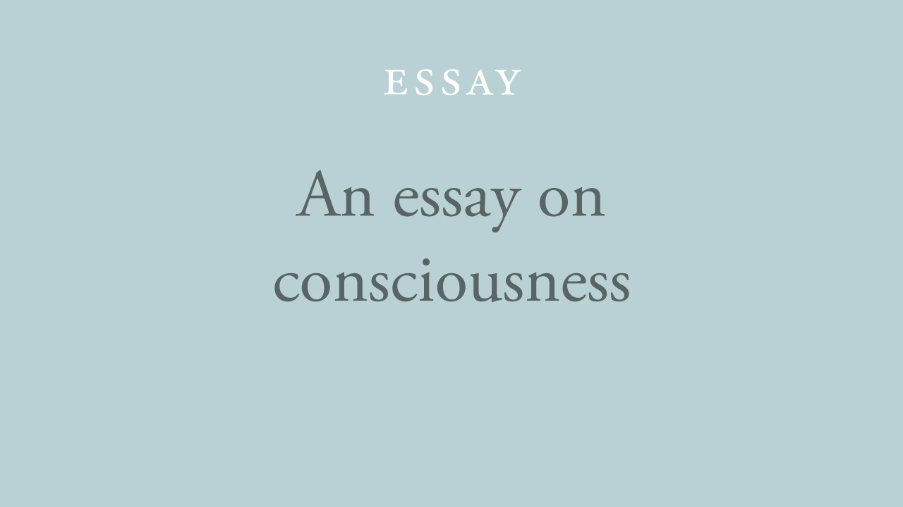 8-an-essay-on-consciousness.jpg