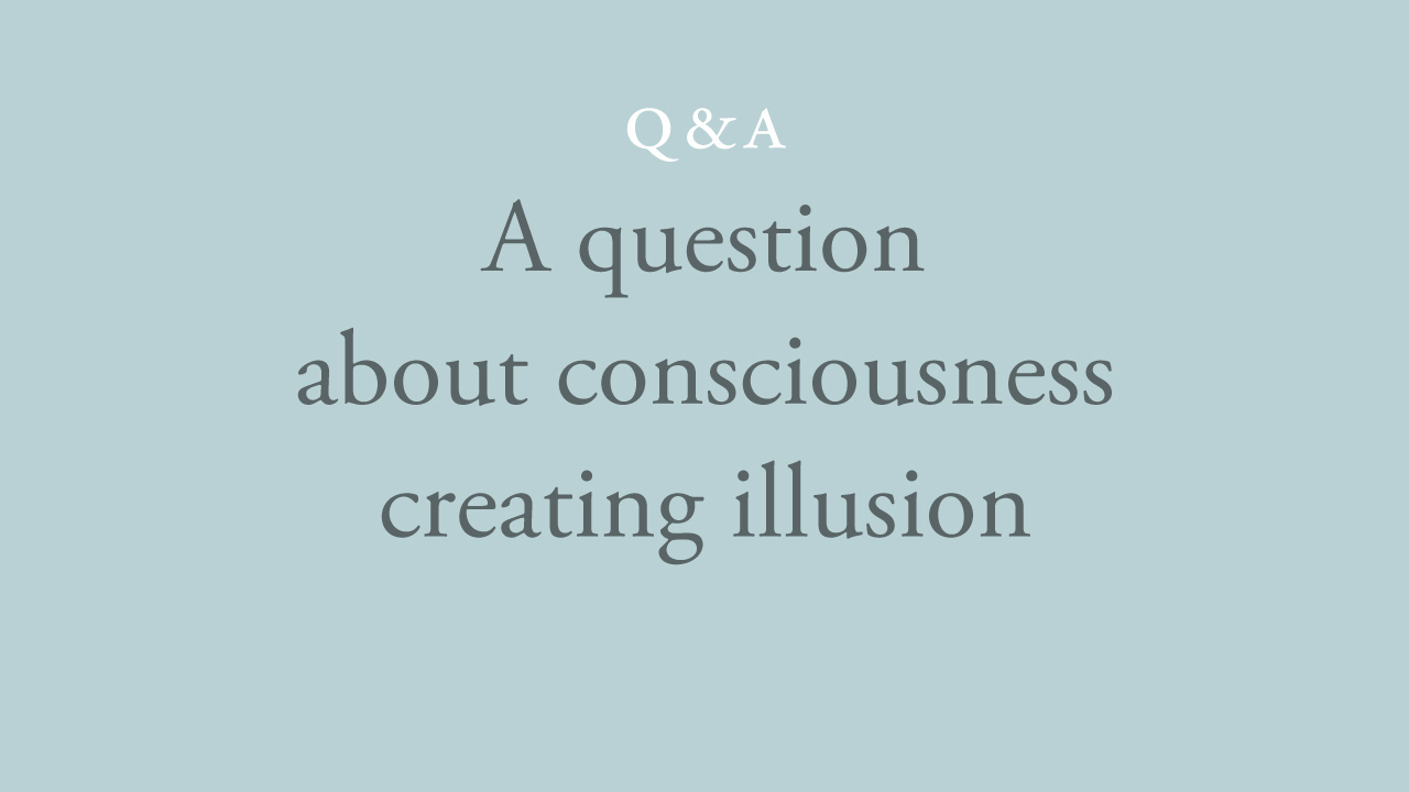 177-a-question-about-consciousness-creating-illusion.jpg