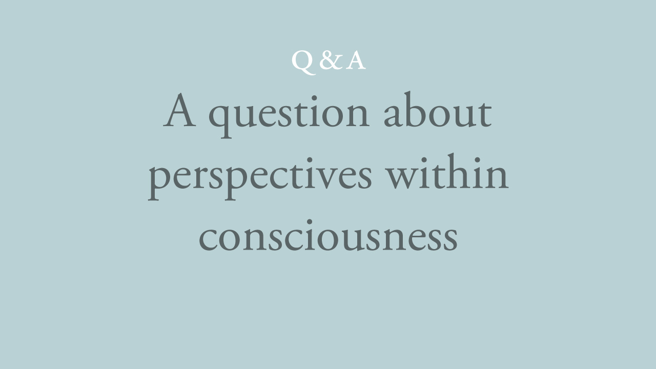 157-a-question-about-perspectives-within-consciousness.jpg