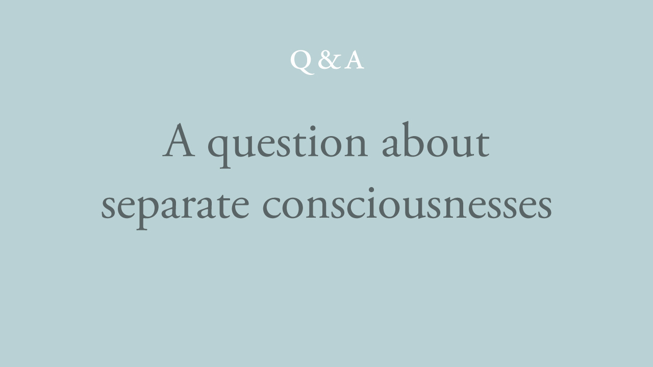 15-a-question-about-separate-consciousnesses.jpg