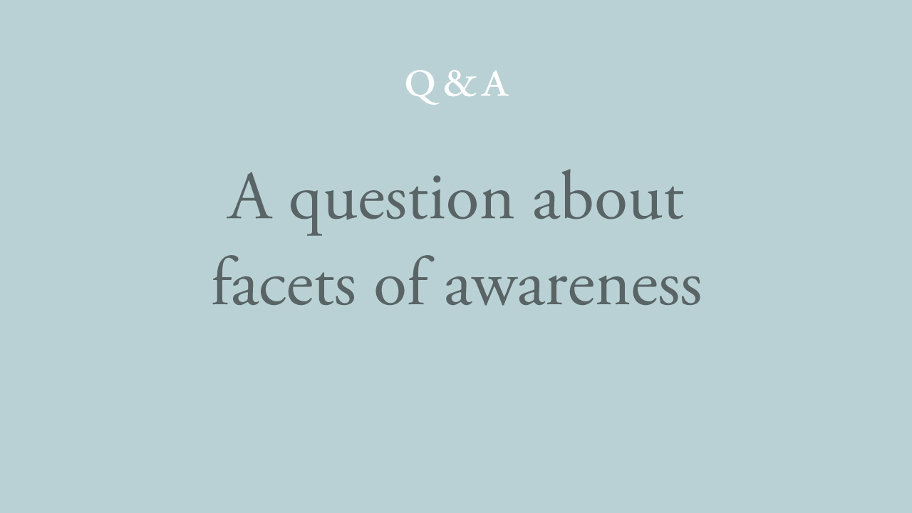 129-a-question-about-facets-of-awareness.jpg