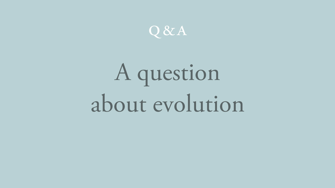 119-a-question-about-evolution.jpg