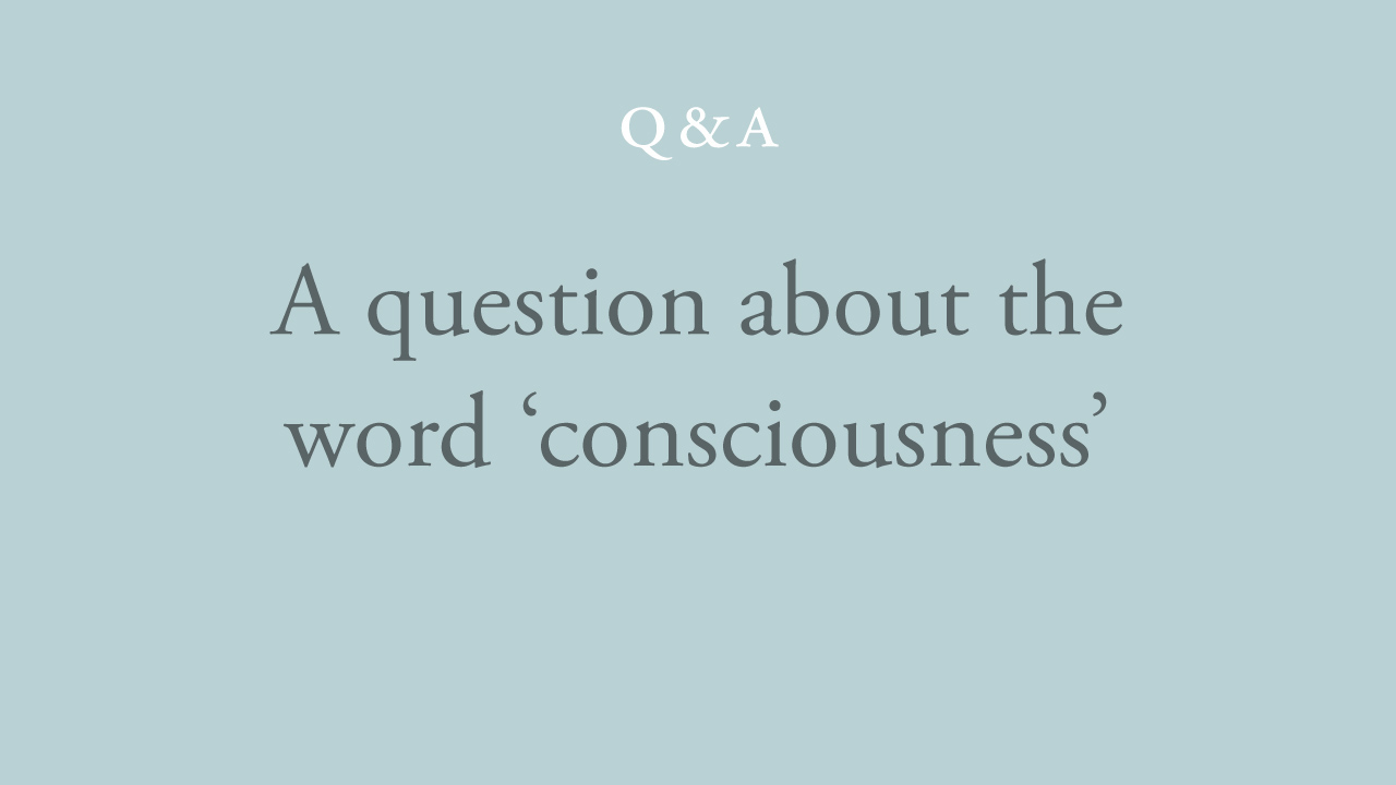 123-a-question-about-the-word-'consciousness'.jpg