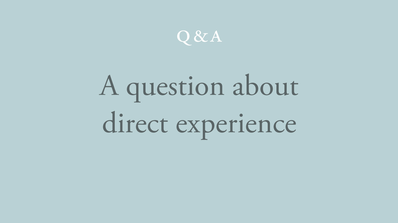 96-a-question-about-direct-experience.jpg