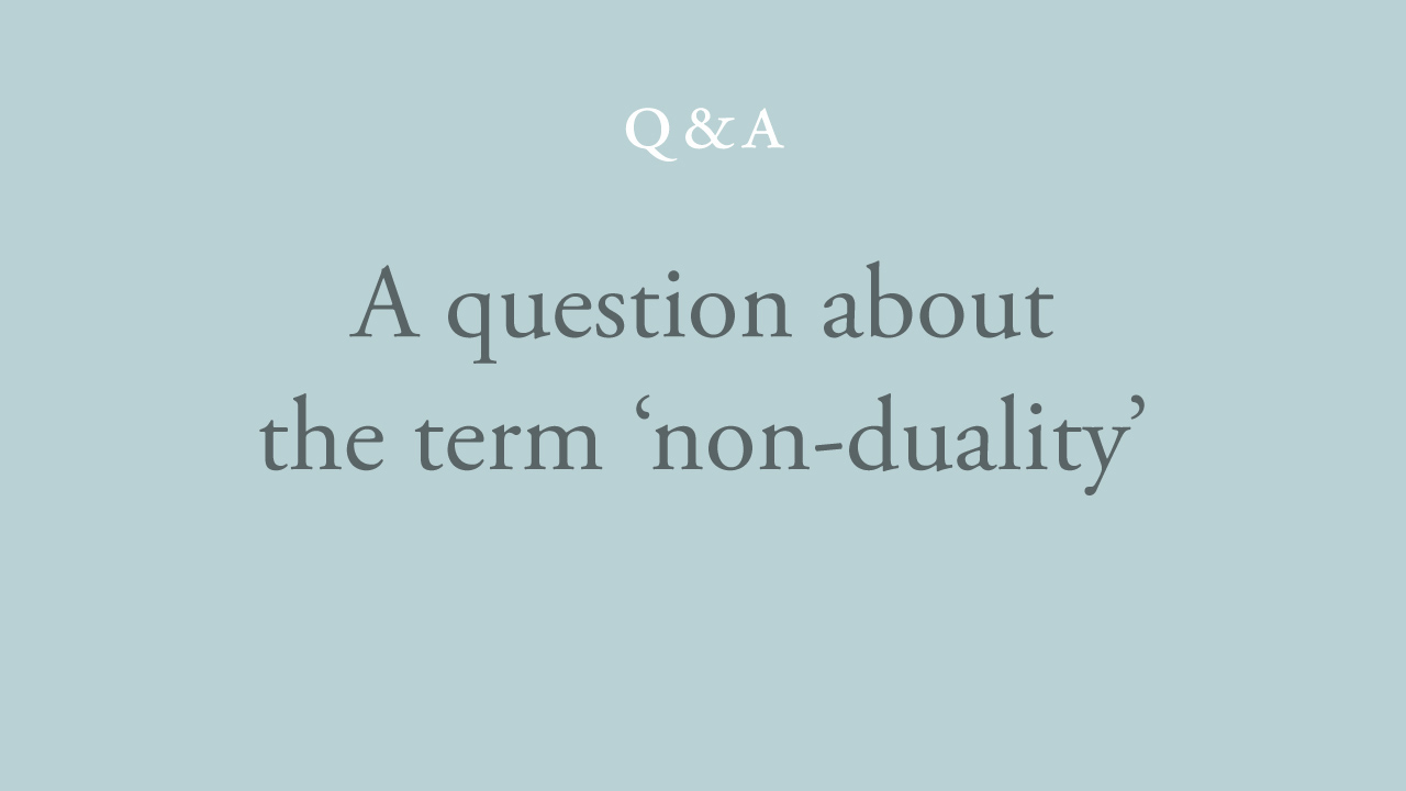 167-a-question-about-the-term-'non-duality''.jpg