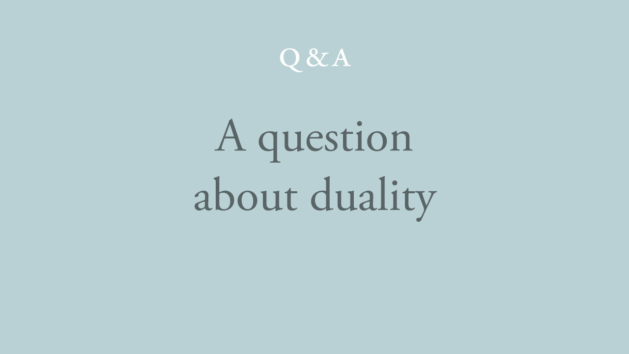 91-a-question-about-duality.jpg